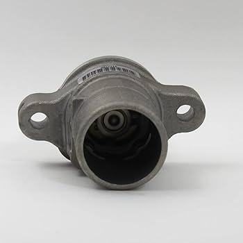 天 Amazon.com: Genuine Perkins T413847 Thermostat Assembly for